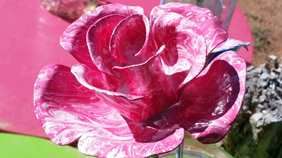 Metal Roses