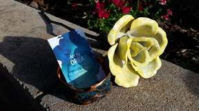 Metal Roses