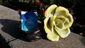 Metal Roses